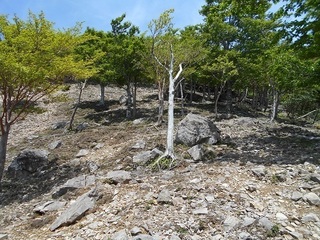 DSCN3323.JPG