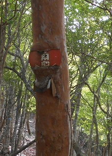 DSCN3325.JPG