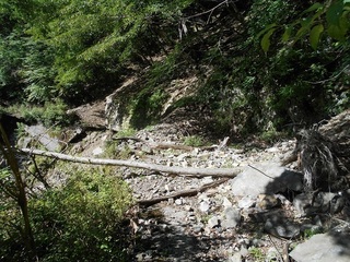 DSCN3603.JPG