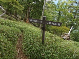 DSCN3675.JPG