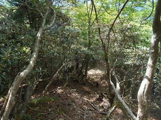 DSCN3680.JPG
