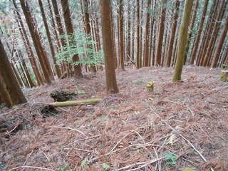 DSCN3690.JPG