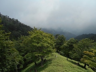 masakibunnki3.jpg